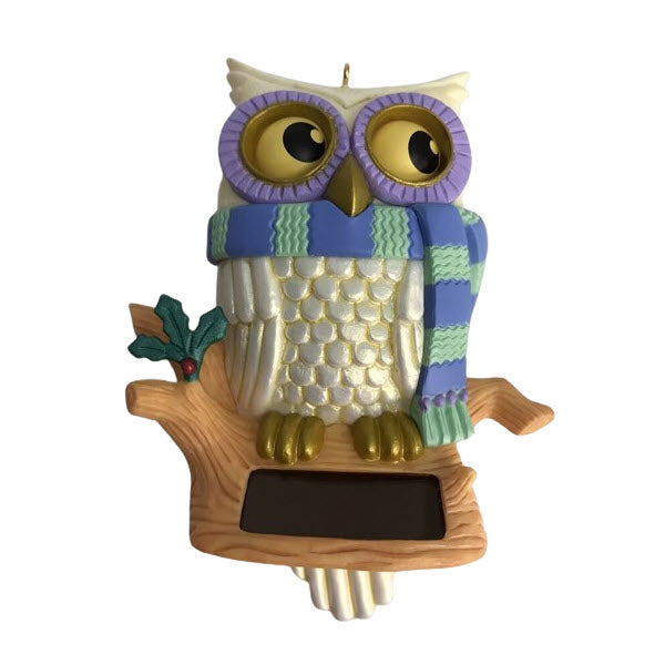 2014 Whoooo's Watching Hallmark Ornament (Owl) QGO1226