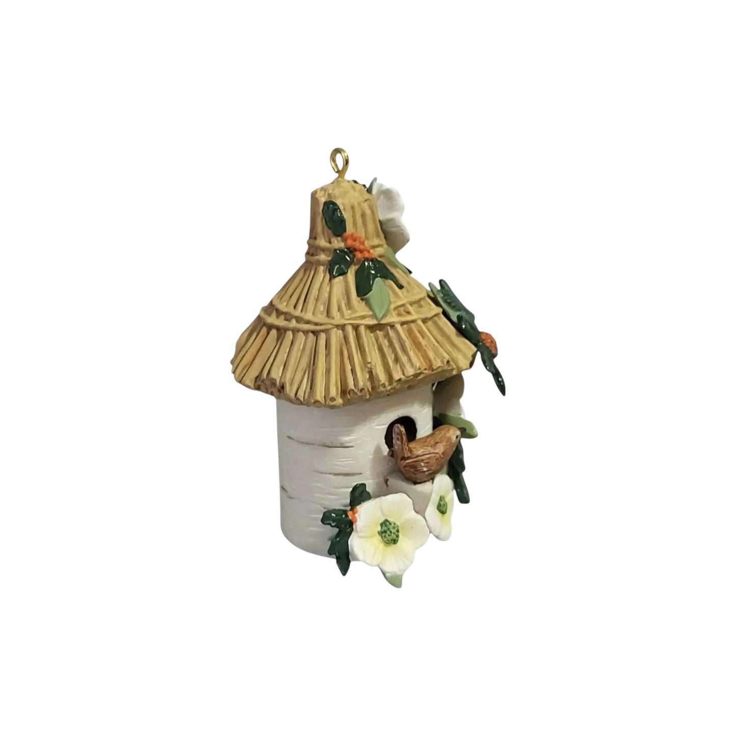 2015 A Home for Wren (Nature's Sketchbook)