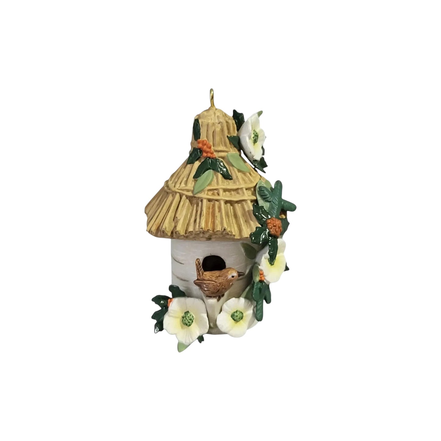2015 A Home for Wren (Nature's Sketchbook)