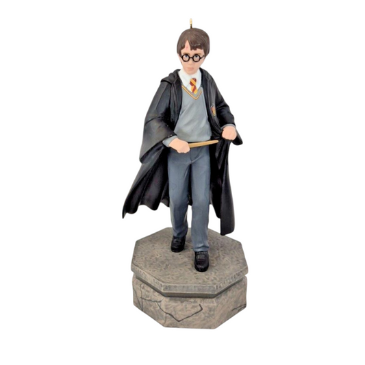2019 Harry Potter Hallmark Ornament (Harry Potter) QXI3259