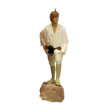 2019 Luke Skywalker Hallmark Ornament (Star Wars) QXI3617