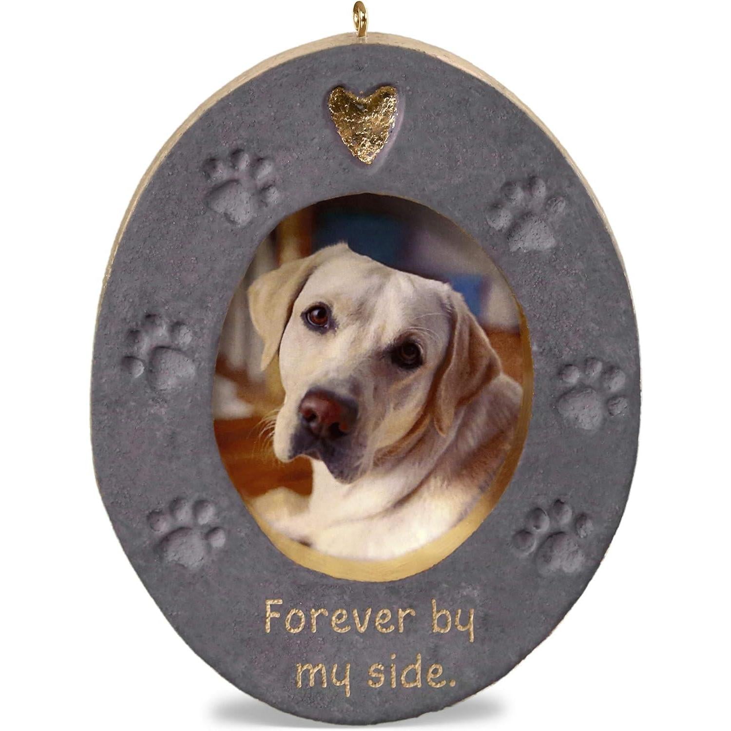 QHX4037 2019 Forever By My Side (Photo Holder) Image1