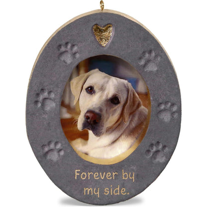 QHX4037 2019 Forever By My Side (Photo Holder) Image1