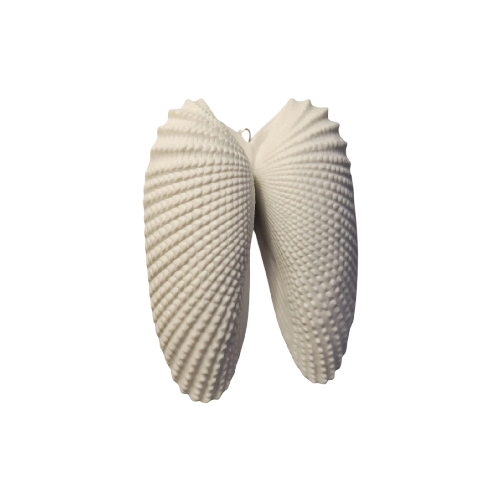 2019 Remembered with Love Hallmark Ornament (Seashell) QHX4047