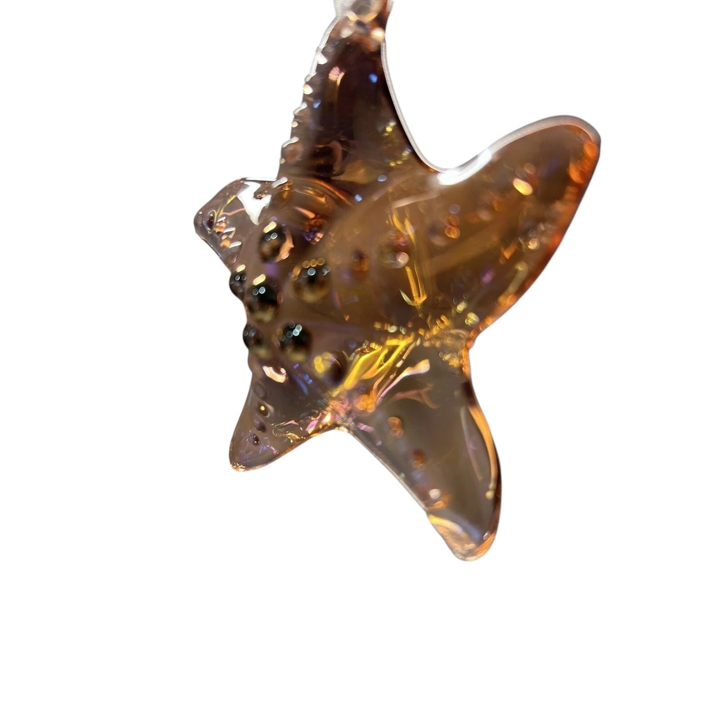 2019 Stunning Starfish Hallmark Ornament (Beach) QGO2307