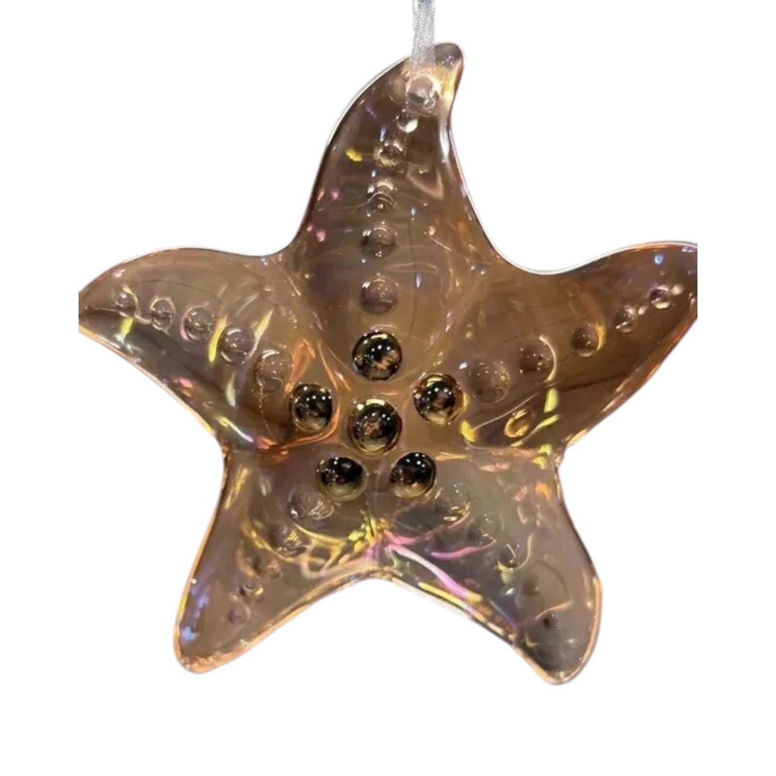 2019 Stunning Starfish Hallmark Ornament (Beach) QGO2307