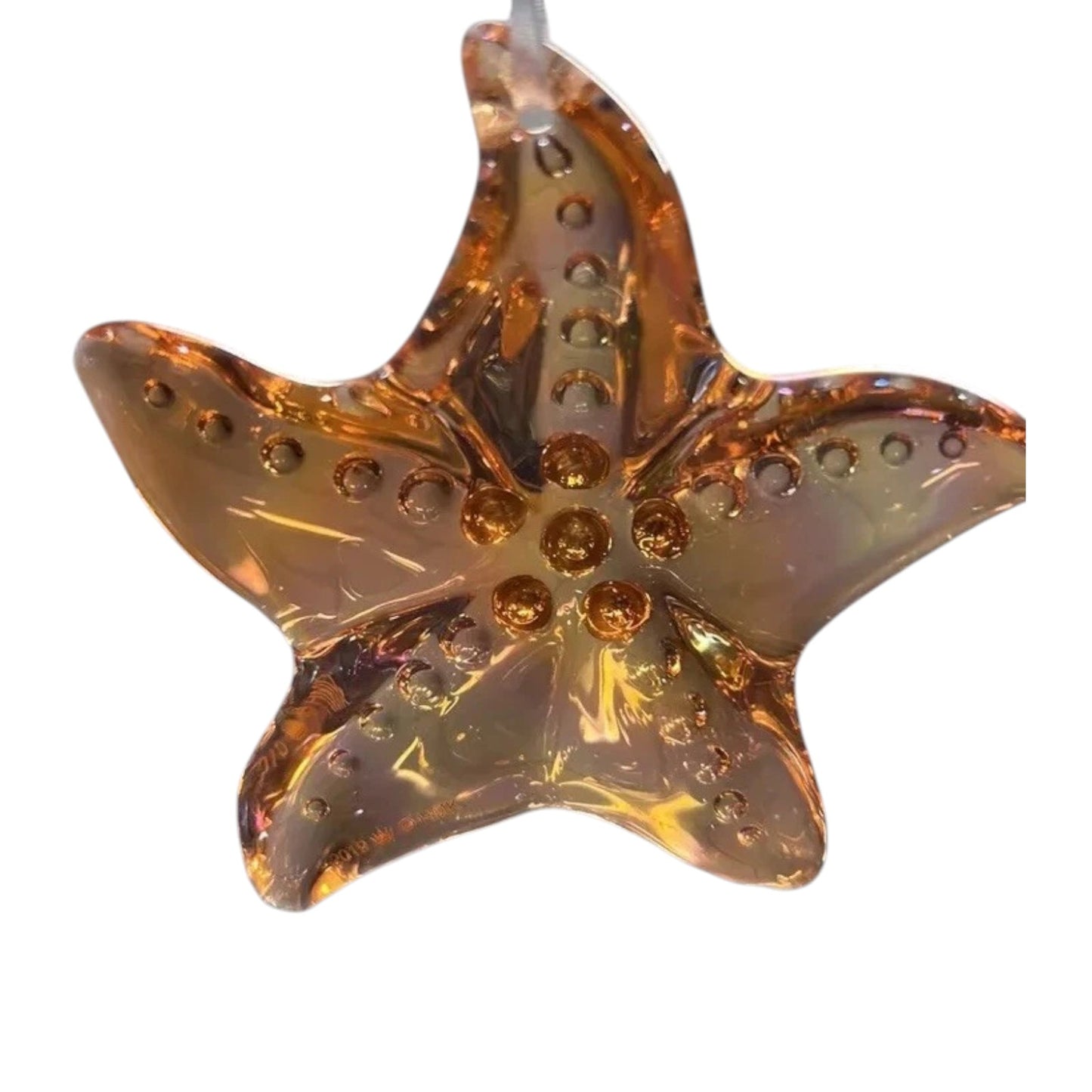 2019 Stunning Starfish Hallmark Ornament (Beach) QGO2307