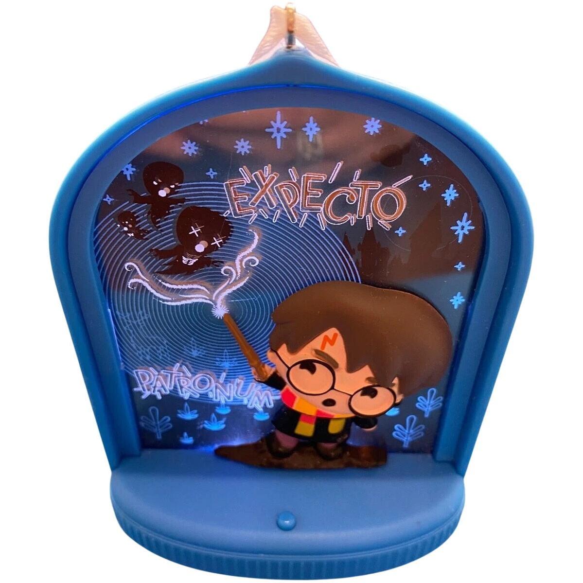 2020 Harry Potter Hallmark Ornament (Harry Potter) 2HCM8212