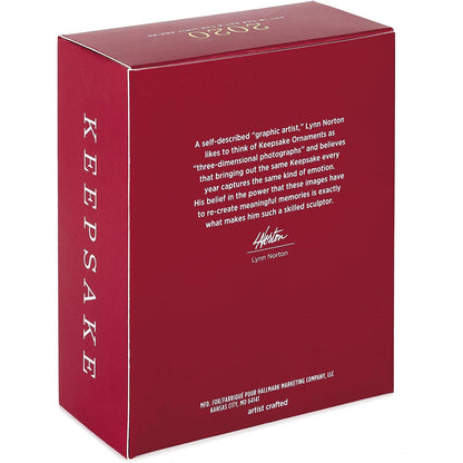 2020 Rearwin Speedster 6000M Hallmark Ornament (Sky's the Limit) QXR9224