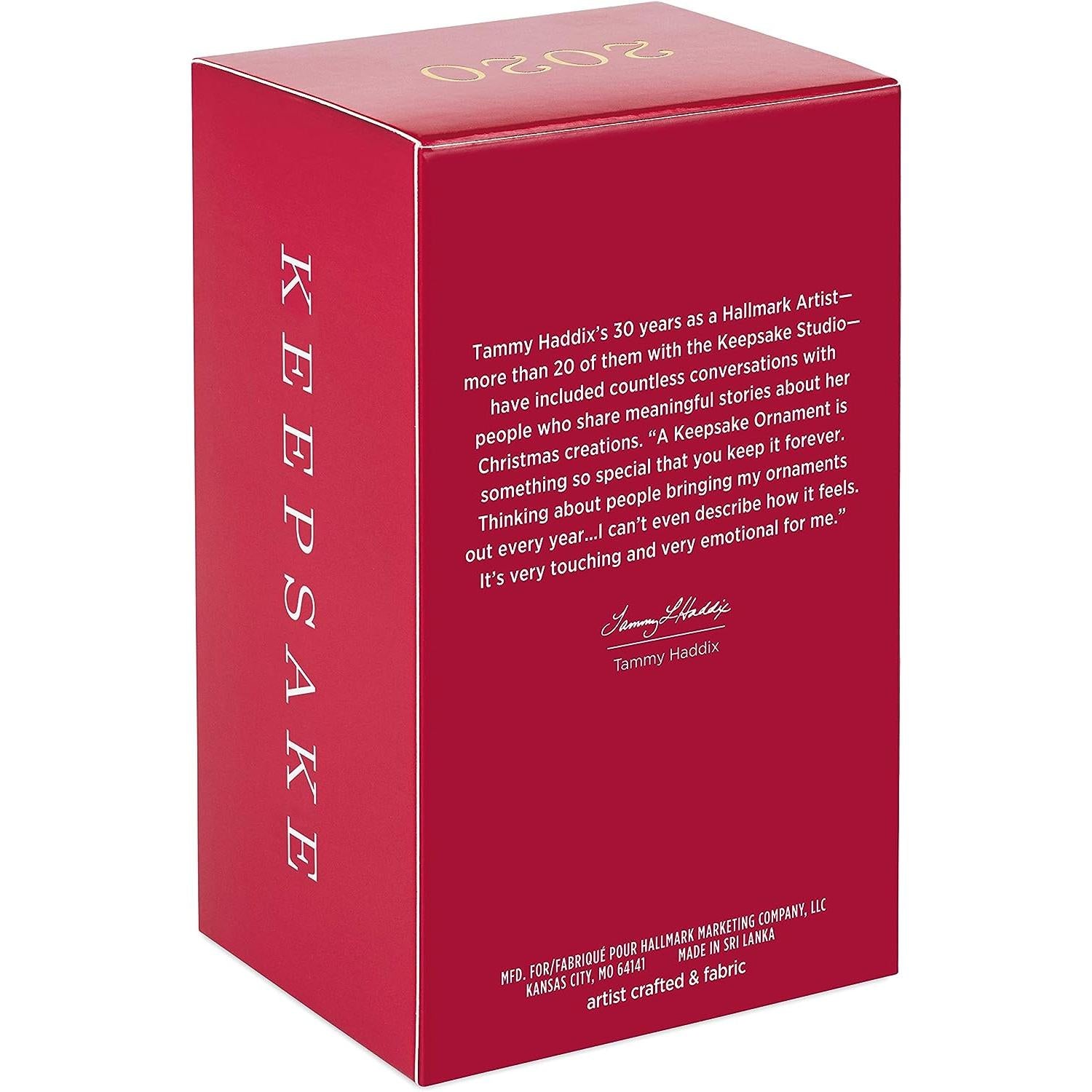 2020 Trying Out The New Trike Hallmark Ornament (Making Memories) QXR9144