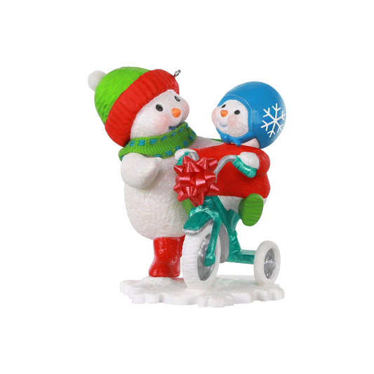 2020 Trying Out The New Trike Hallmark Ornament (Making Memories) QXR9144