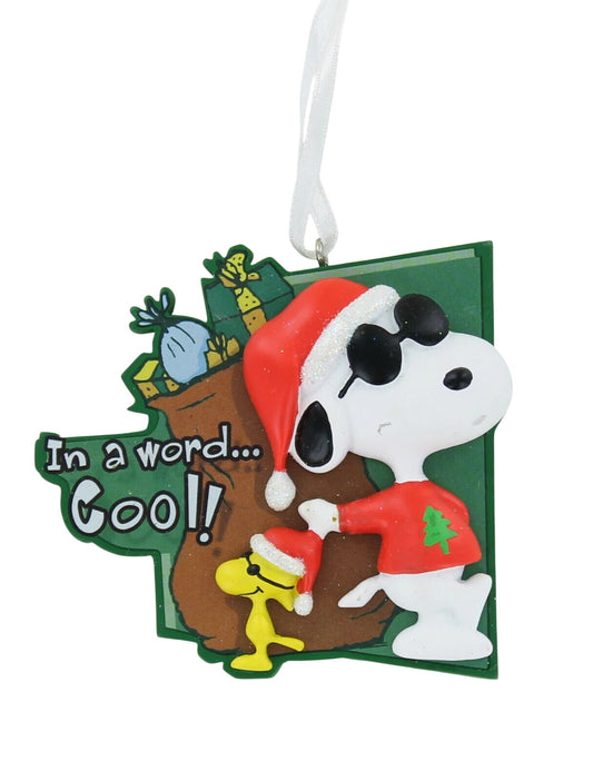 2021 Peanuts Hallmark Ornament (Peanuts) 1HCM9317