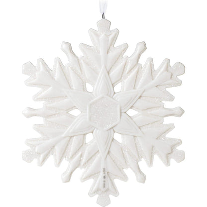 QGO1662 2021 Snowflake (Snowflake) Image2