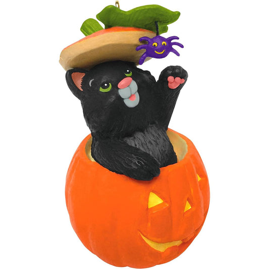 QFO5305 2021 Black Cat Antics (Mischievous Kittens) Image1