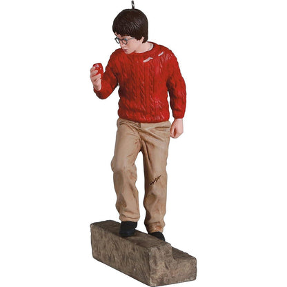 QXI7055 2021 Harry Potter and The Sorcerer's Stone Image1