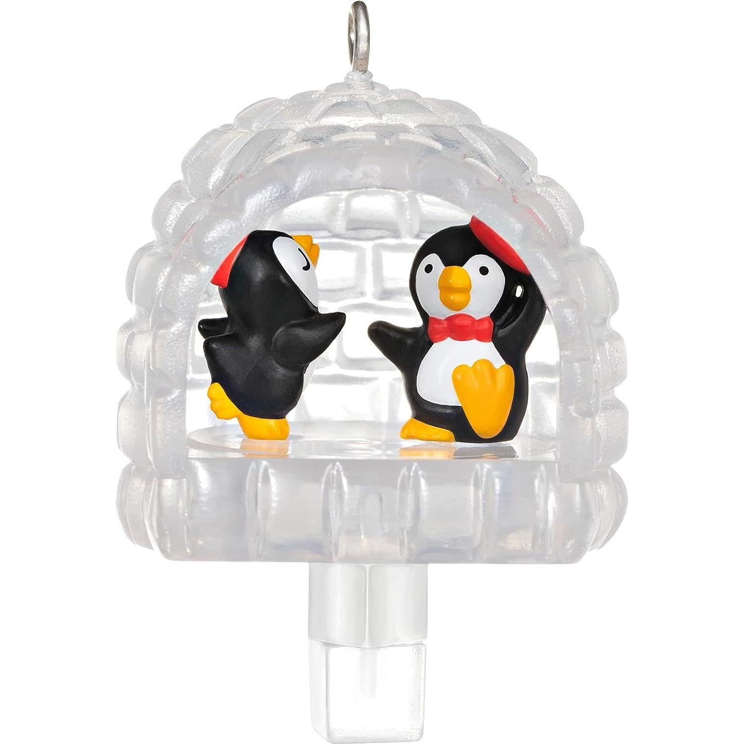 QXM8375 2021 Igloo Twirl-About (Penguin) Image1