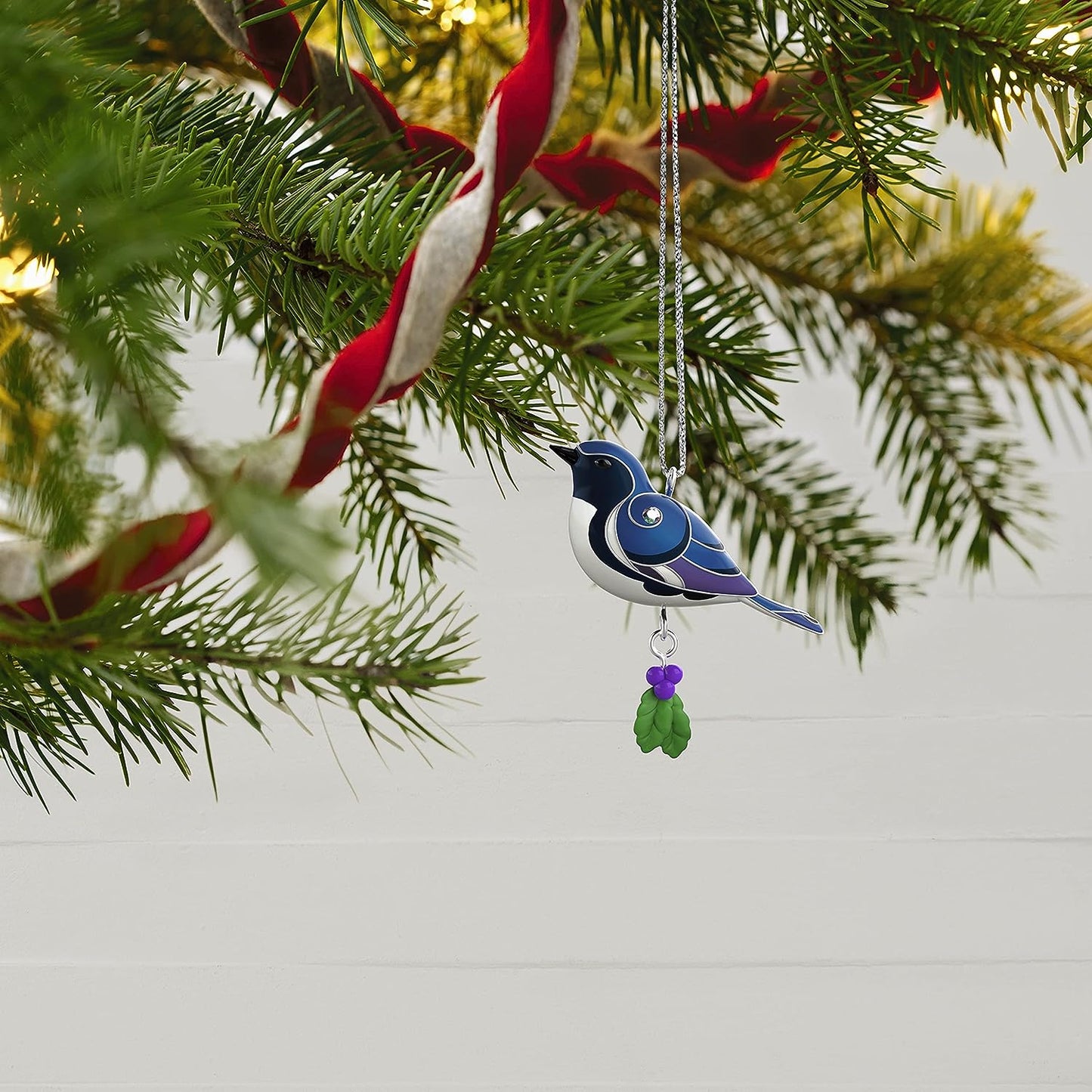 QXM9123 2022 Black-Throated Blue Warbler (Bird) Image4