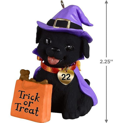 QFO5323 2022 Puppy Love Howl-O-Ween (Puppy Love) Image4