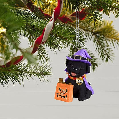 QFO5323 2022 Puppy Love Howl-O-Ween (Puppy Love) Image5