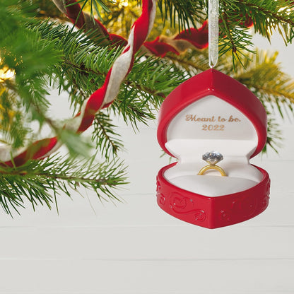 QHX3053 2022 Mean to Be (Wedding Ring) Image5