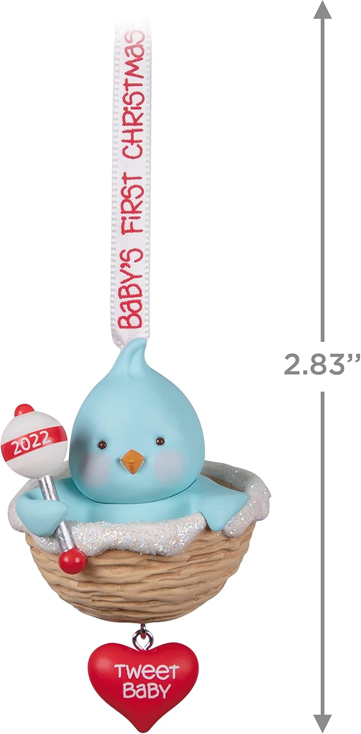 2022 Baby Boy's First Christmas (Baby's First Christmas)