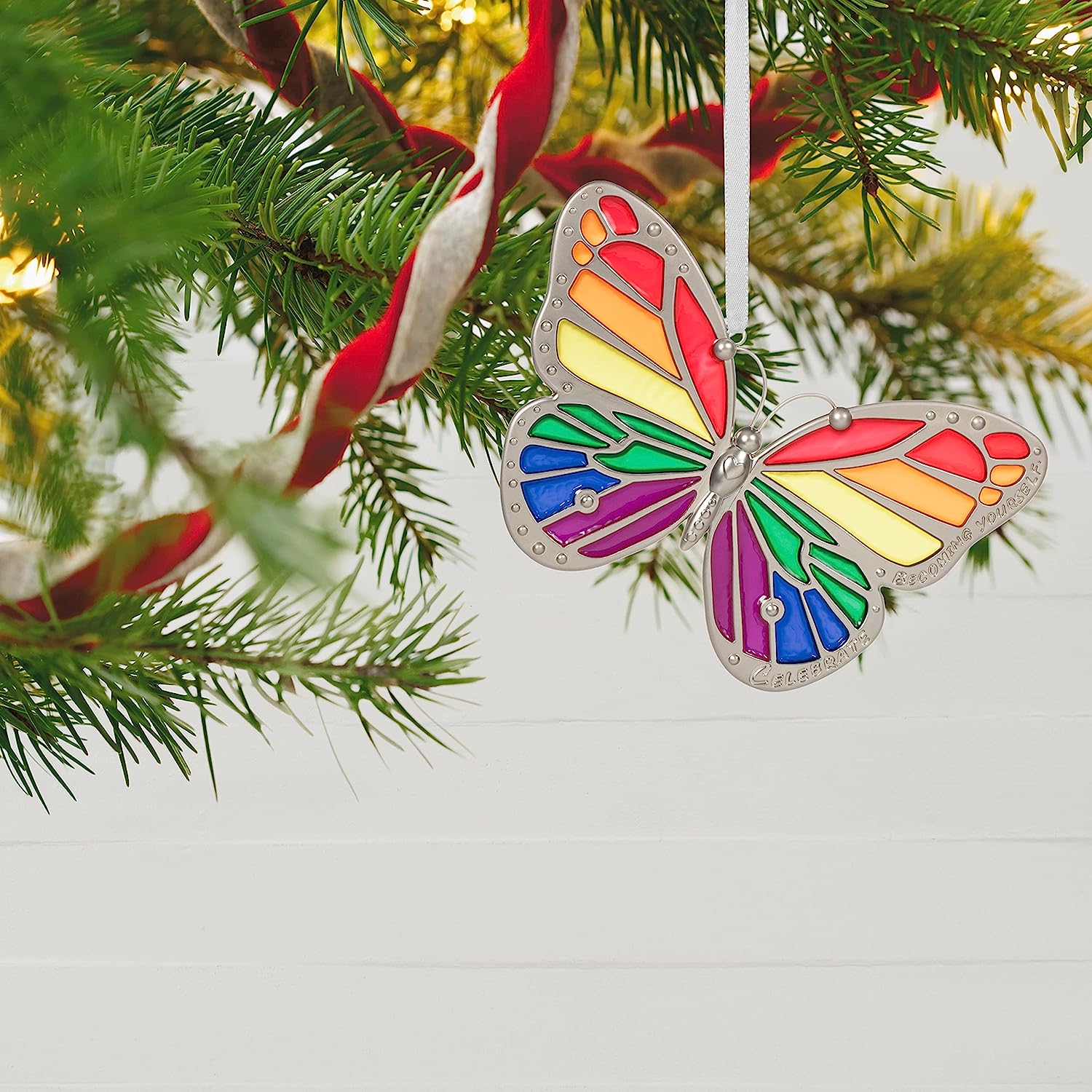 QHX3006 2022 Becoming Yourself Butterfly Image5