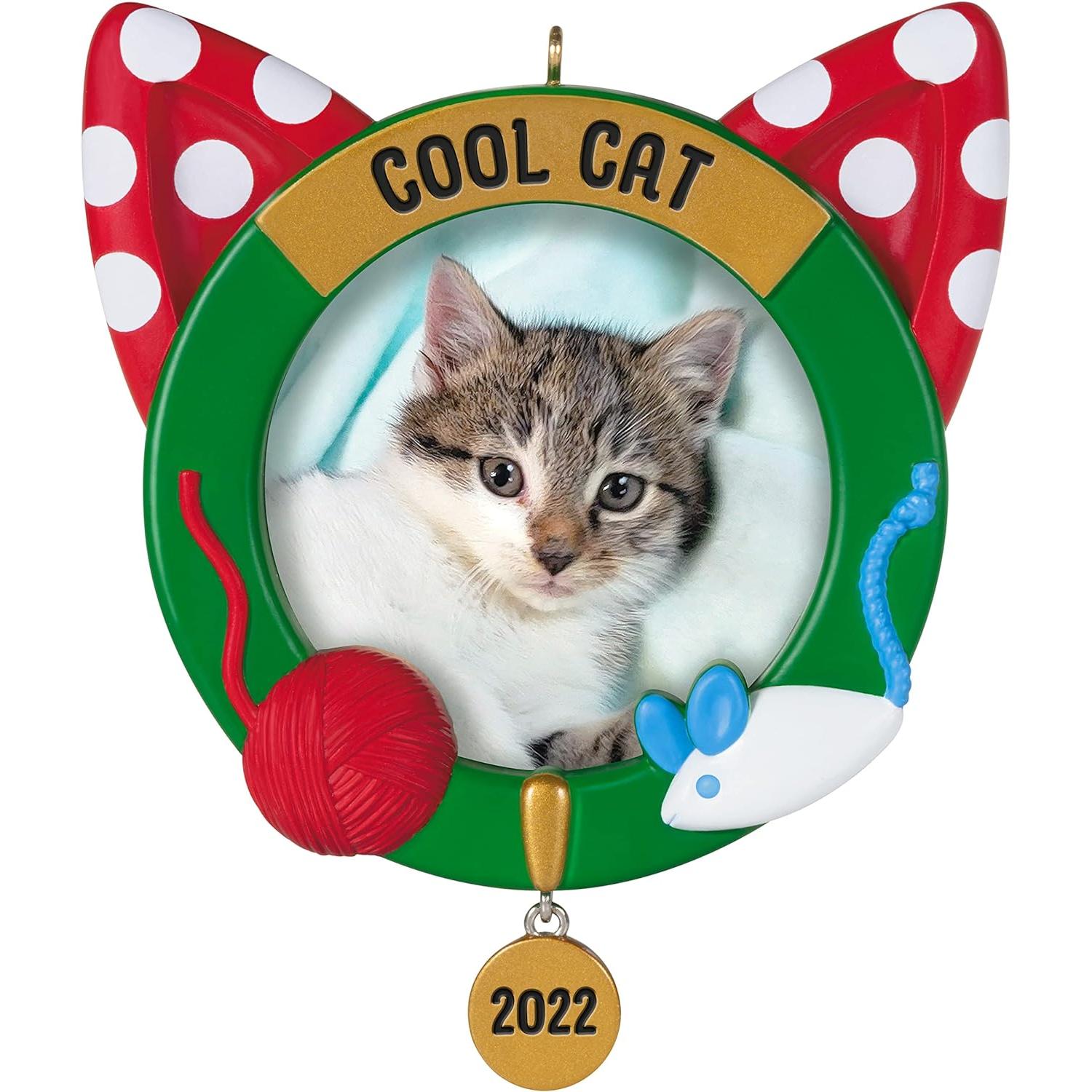 QGO2373 2022 Cool Cat (Photo Holder) Image1