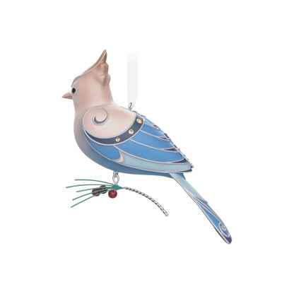 2023 Leucistic Steller's Jay (Beauty of Birds)