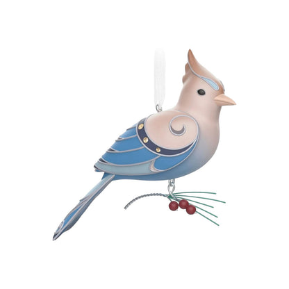 2023 Leucistic Steller's Jay (Beauty of Birds)