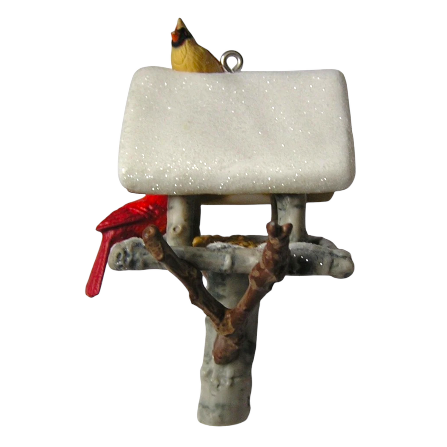 2023 Winter Cardinals (Marjolein Bastin)