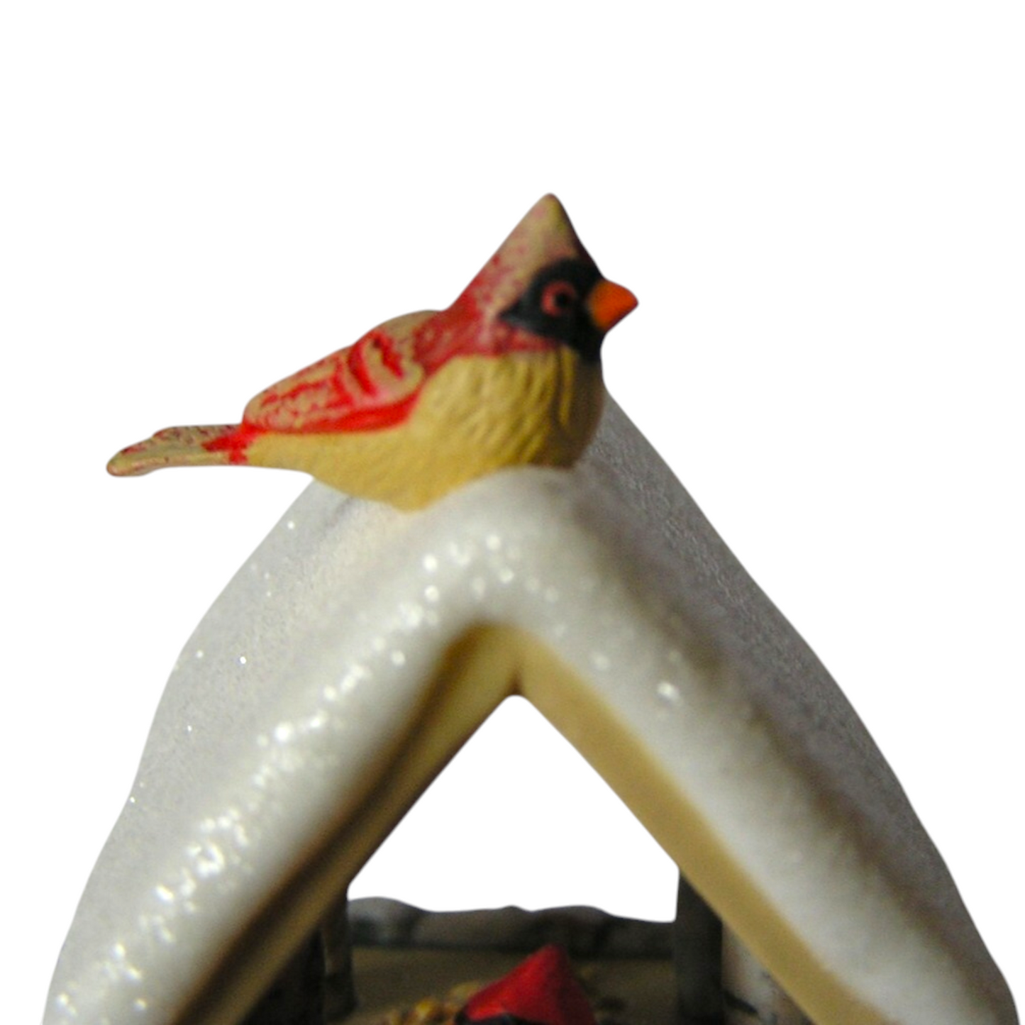 2023 Winter Cardinals (Marjolein Bastin)