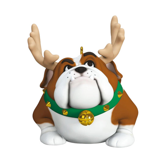 2023 Reindoggie (Animal)