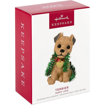 QXR8177 2023 Terrier (Puppy Love) Image2