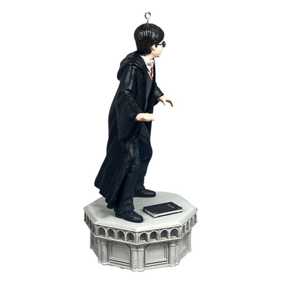 2024 Harry Potter (Harry Potter)