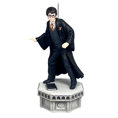 2024 Harry Potter (Harry Potter)