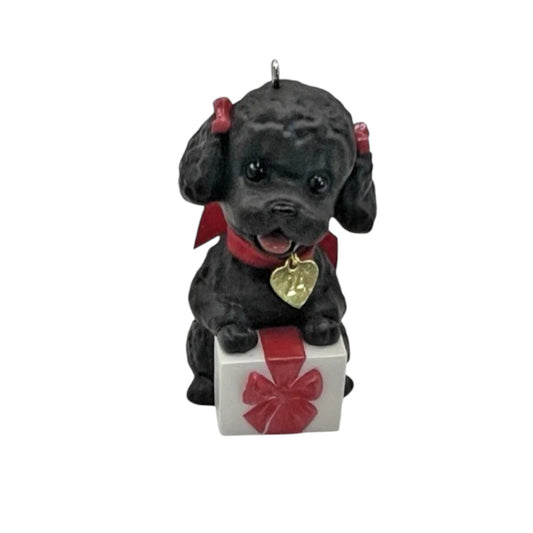 2024 Poodle (Puppy Love)