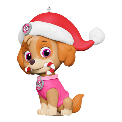 2024 Skye's Sweet Treat (Paw Patrol)