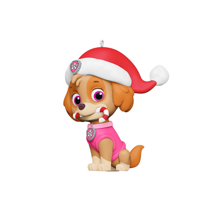 2024 Skye's Sweet Treat (Paw Patrol)