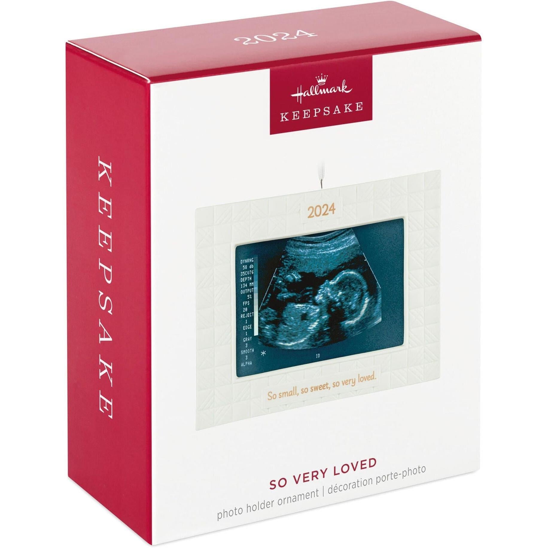 2024 So Very Loved Hallmark Ornament (Photo Holder) QHX3111