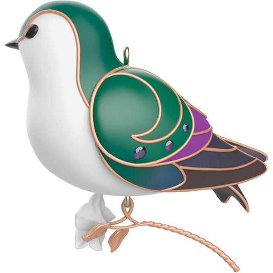 2024 Violet-Green Swallow (Beauty of Birds)