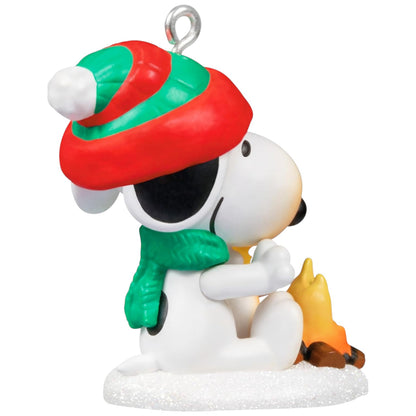 2024 Winter Fun With Snoopy Hallmark Ornament (Winter Fun with Snoopy) QXM9254 Image4