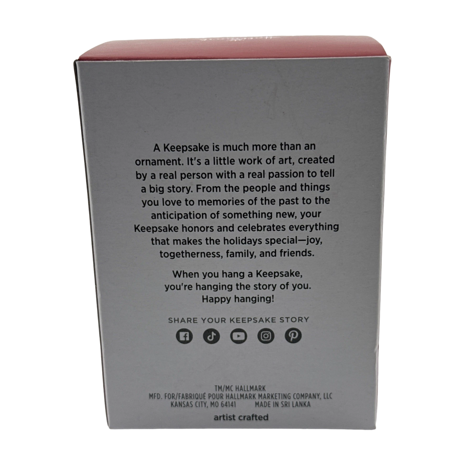 2025 Sponge-Boxed for Christmas (SpongeBob SquarePants) QXI8622 Hallmark Ornament QXI8622 Image4