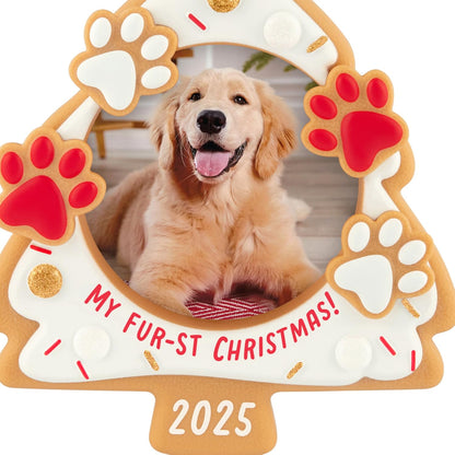 2025 My Fur-st Christmas () QGO1902