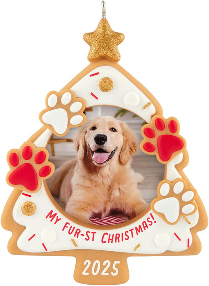 2025 My Fur-st Christmas () QGO1902