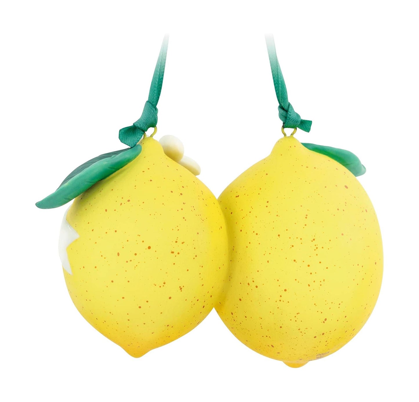 2023 Live Life With Zest (Fruit)