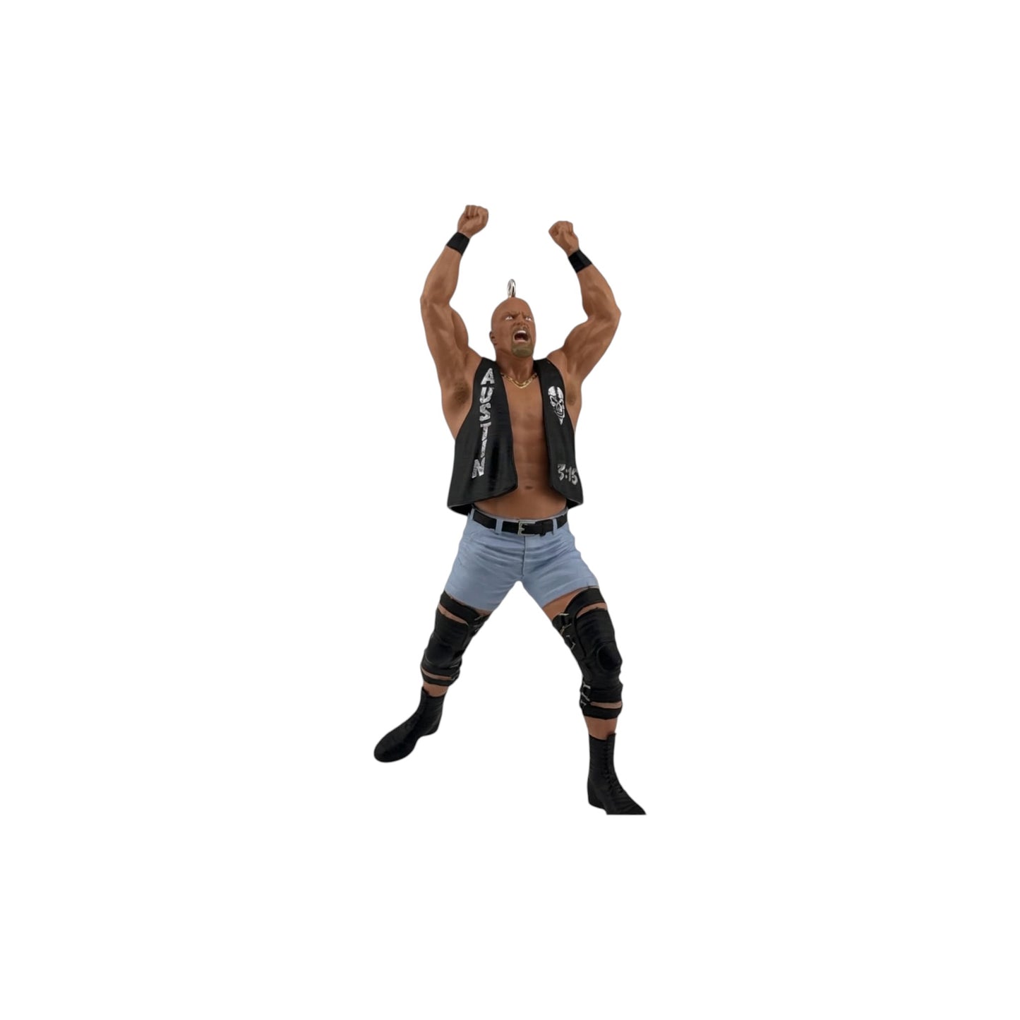 2025 "Stone Cold" Steve Austin (WWE)