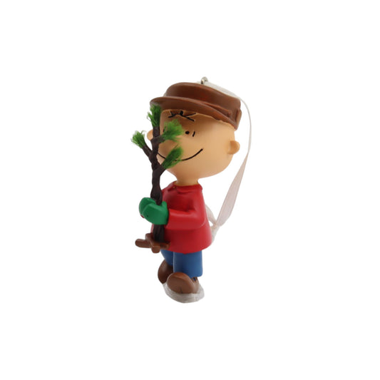 Charlie Brown (Peanuts) 1HCM5982