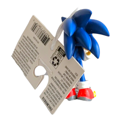 2021 Sonic (Sonic the Hedgehog)