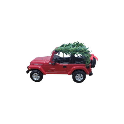 2006 Jolly Jeep Wrangler (Jeep)