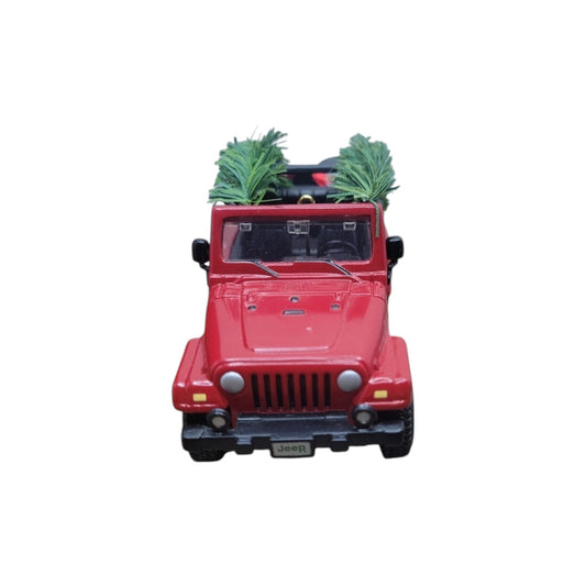 2006 Jolly Jeep Wrangler (Jeep)
